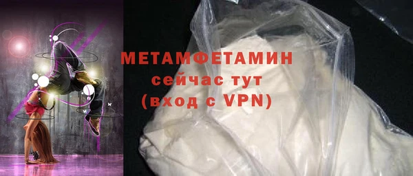 прущие грибы Надым