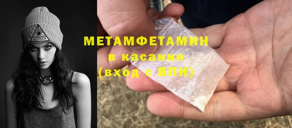 прущие грибы Надым