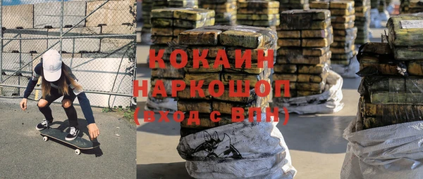 прущие грибы Надым