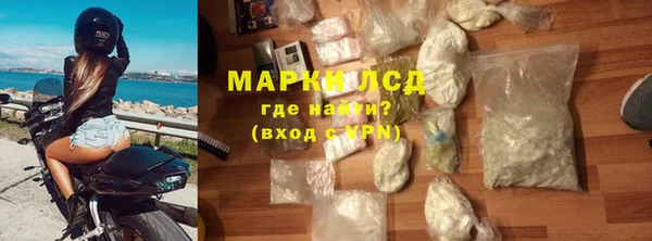 прущие грибы Надым