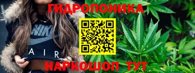 Альфа ПВП Краснознаменск