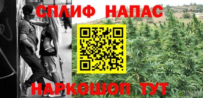 Альфа ПВП Краснознаменск