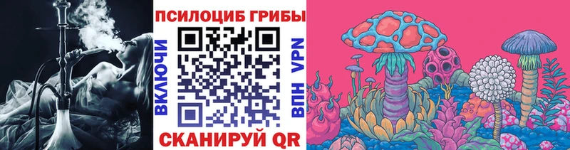 Псилоцибиновые грибы GOLDEN TEACHER Новотроицк