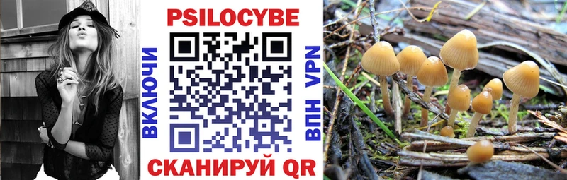 Галлюциногенные грибы GOLDEN TEACHER  Новотроицк 