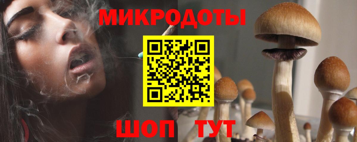Галлюциногенные грибы Psilocybine cubensis Новотроицк