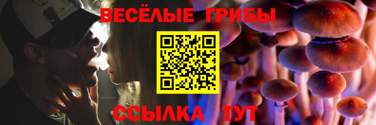 Новотроицк  Галлюциногенные грибы GOLDEN TEACHER  Вход с VPN 